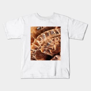 Brown cut banana stump with fibers Kids T-Shirt